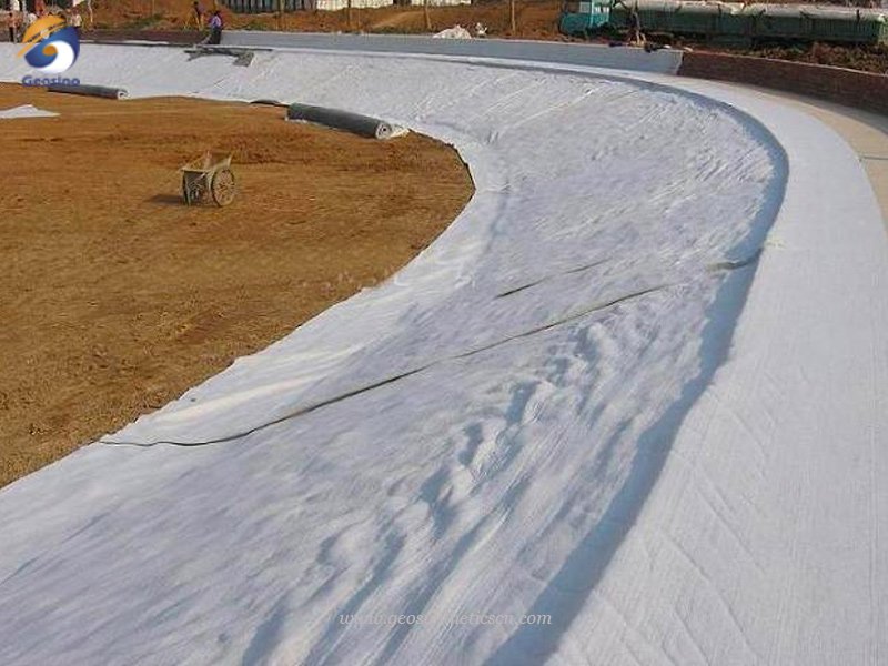 Staple Fiber Needle Punched Geotextile Fabric for Reservoir Construction Project in Turkey