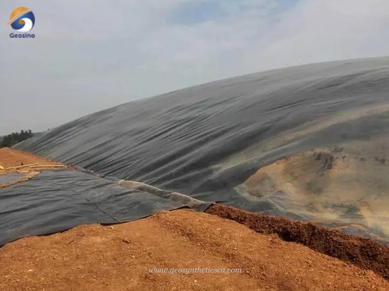 HDPE Geomembrane Pond Liner for Biogas Digester Project in Indonesia
