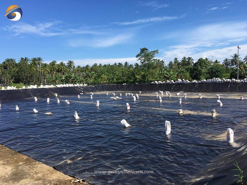 HDPE Geomembrane Pond Liner for Aquaculture Project in Indonesia