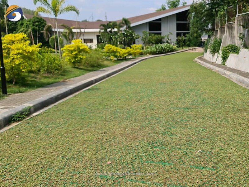 HDPE Grass Pavers for Scenic Driveway Project in Philippines