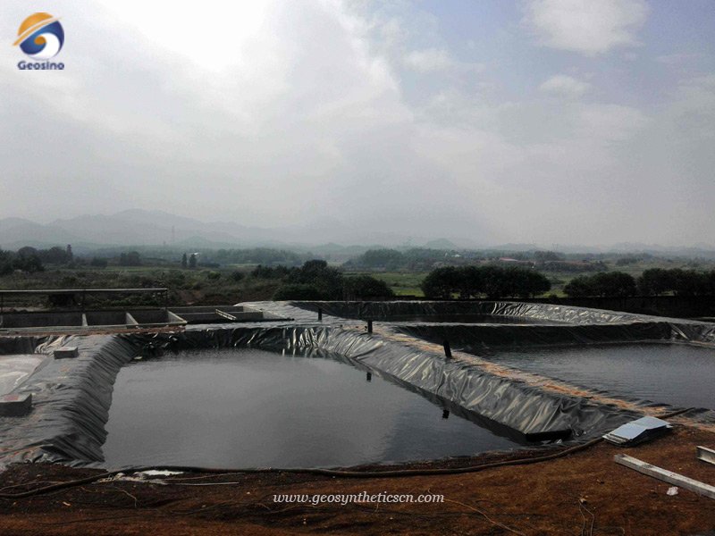 Water Pond Liners for Shrimp Pond Project in India