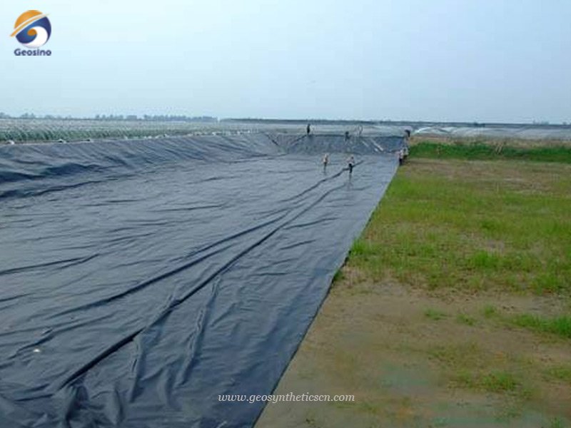 Water Pond Liners for Shrimp Ponds in India