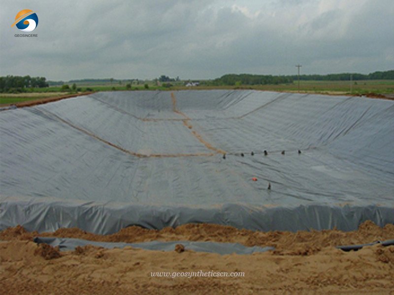 Farm Pond liner for Shrimp Project in Ecuador