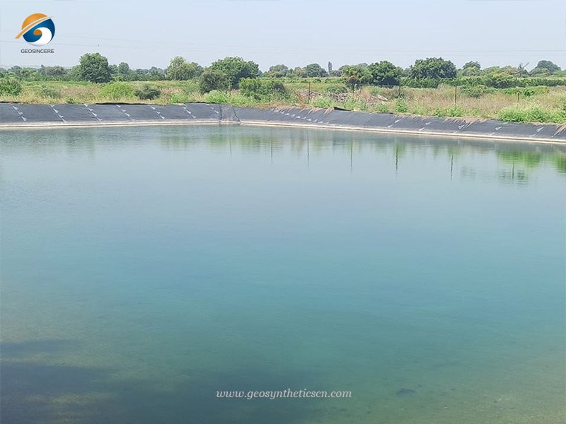 HDPE Pond Lining Sheets for Aquaculture Pond Project in Philippines