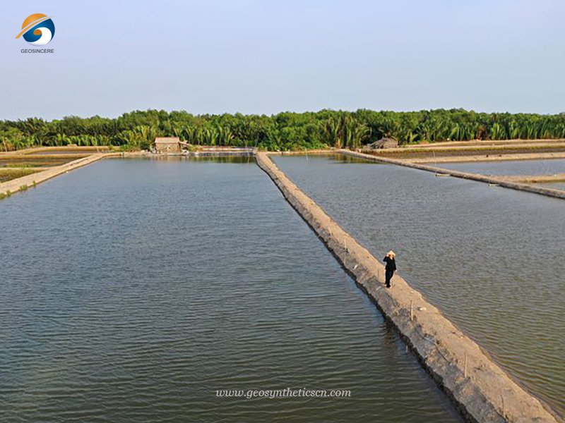 Pond Lining Sheets for Aquaculture Ponds Lining System in Philippines