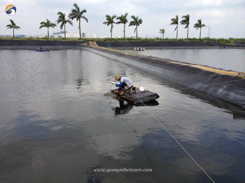 HDPE Pond Membrane Liner for Shrimp Pond in Colombia