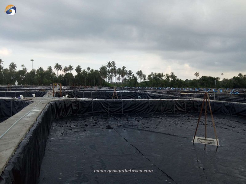 HDPE Farm Pond Liners for Aquaculture Fish Pond in Kenya