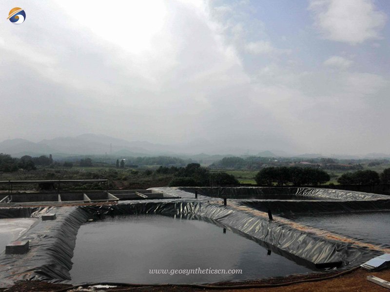 HDPE Geomembrane Liner for Fish Farm