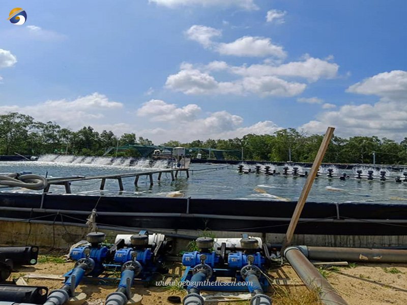 China HDPE Geomembrane Pond Liner for Fish Farm