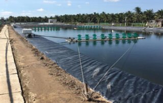 HDPE Pond Membrane for Shrimp Pond Projects in Sri Lanka