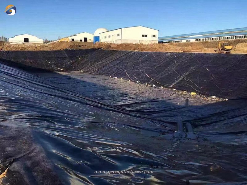 PVC Geomembrane for Tailings Seepage Projects in South Africa