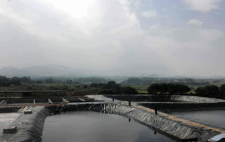 HDPE Geomembrane Liner for Fish Farm