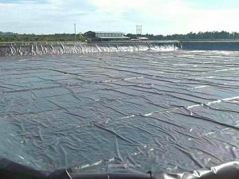 HDPE Pond Liner for Fish Farm Project
