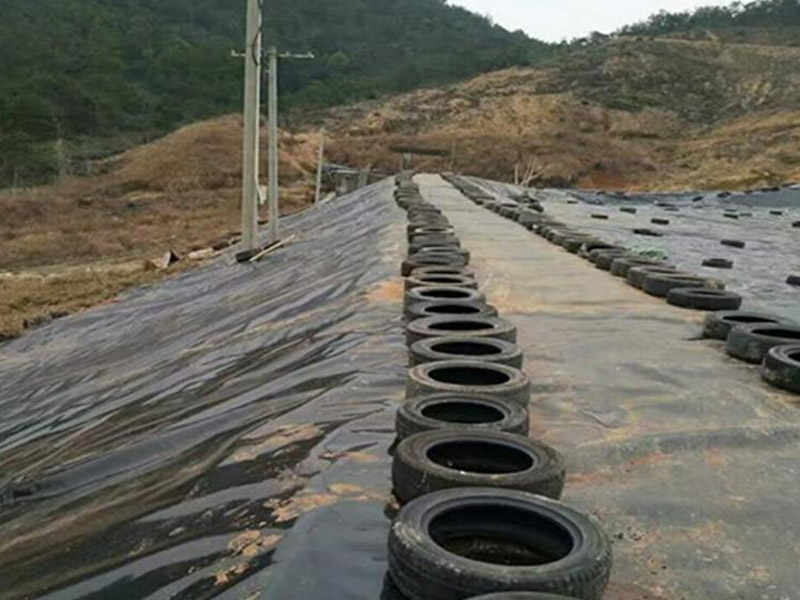 HDPE Textured Geomembrane for Dam Lining Project