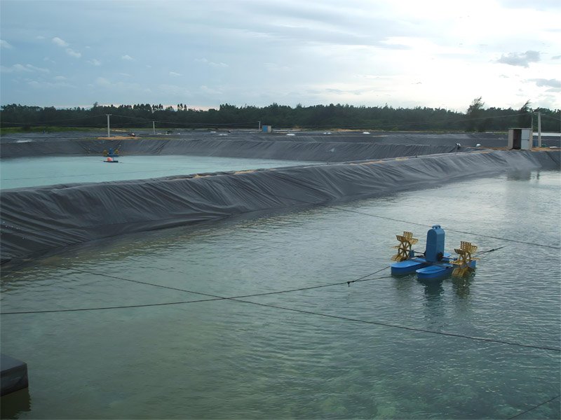 Fish Shrimp Farm Geomembrane Liner for Aquaculture Tank