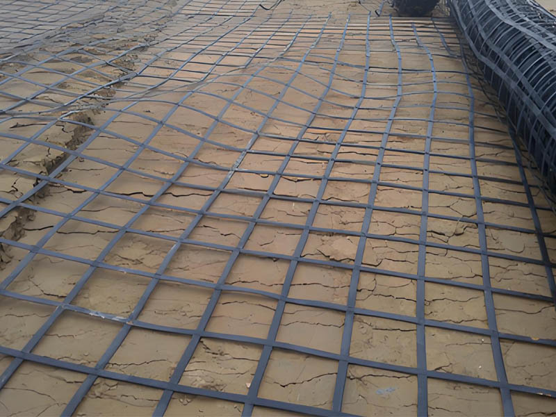 High Tensile Strength Polyester Plastic Geogrid for Construction