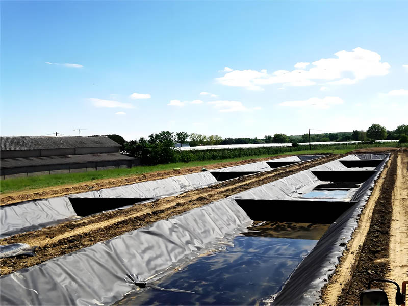 Geomembrane Film 60mil Membrane Liner for Agricultural pond